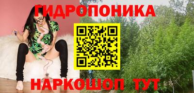 прущая мука Кингисепп